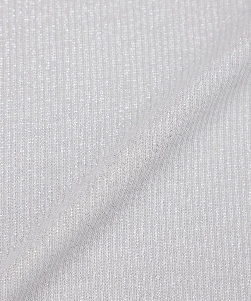 LOVELESS（ラブレス）の「ラメリブTシャツ（Tシャツ/カットソー・レディース・ライトグレー/グリーン系その他/ブラック/グレー系その他・36）」の13枚目の写真