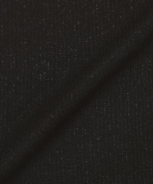 LOVELESS（ラブレス）の「ラメリブTシャツ（Tシャツ/カットソー・レディース・ライトグレー/グリーン系その他/ブラック/グレー系その他・36）」の11枚目の写真