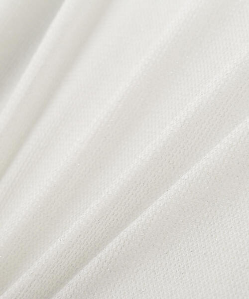 PROPORTION BODY DRESSING（プロポーションボディドレッシング）の「ハイネックラメシアーカットソー / 1214160102（Tシャツ/カットソー・レディース・ホワイト系その他・FREE）」の15枚目の写真