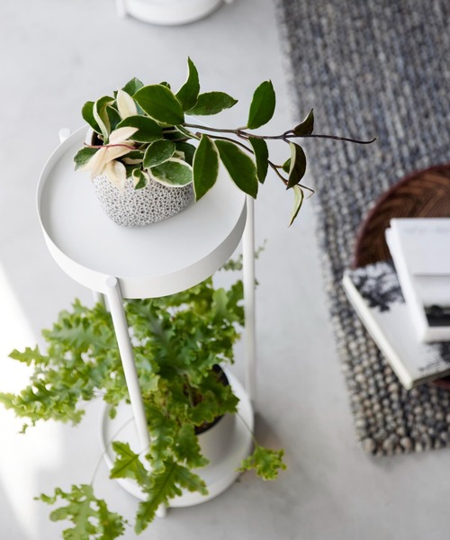 BIRTHDAY BAR（バースデイバー）の「tower キャスター付きプランタースタンド 2段（収納グッズ・レディース・ブラック/ホワイト・フリー）」の7枚目の写真