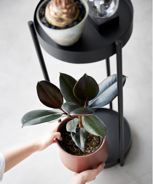 BIRTHDAY BAR（バースデイバー）の「tower キャスター付きプランタースタンド 2段（収納グッズ・レディース・ブラック/ホワイト・フリー）」の15枚目の写真