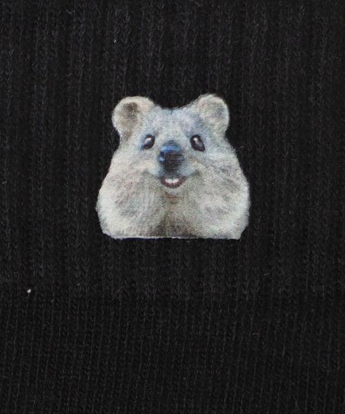 WEGO（ウィゴー）の「WEGO/アニマルプリントショートソックス（ソックス/靴下・レディース・ブラック/サックスブルー/ライトピンク・23-25cm）」の5枚目の写真