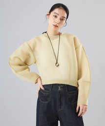 Perfect Suit FActory（パーフェクトスーツファクトリー）の「シアーダンボールプルオーバー（その他トップス）」