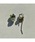 tone�i�g�[���j�́u�ymusk�z�V���o�[�{�[���ƃ��B���e�[�W�r�W���[�̃C�������O(MA)�i�C�������O�j�v�b�V���o�[
