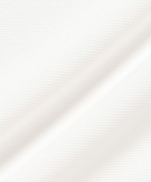 LACOSTE(ラコステ)の「【オンライン限定】LACOSTE オーバーサイズ ロゴプリント 鹿の子地Tシャツ(Tシャツ/カットソー・メンズ・ネイビー/オフホワイト/ダークアッシュ/ブラック・2/3/4/5/6)」の16枚目の写真