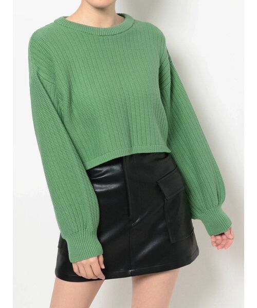 EVRIS(エヴリス)の「バックZIPクロップドニットトップス(ニット/セーター・レディース・アイボリー/ベージュ/グリーン・FREE)」の1枚目の写真