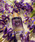 THE BODY SHOPiUE{fBVbvj́uACX I[hpt@ 75mLijvb̑