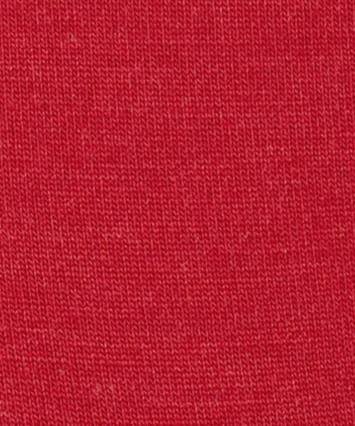 FALKE（ファルケ）の「【FALKE/ファルケ】14435 AIRPORT SOCKS（ソックス/靴下・メンズ・レッド/ダークグリーン/チャコールグレー/ブラック/マスタード/ロイヤルブルー/ダークネイビー/ブラウン・ONESIZE）」の18枚目の写真