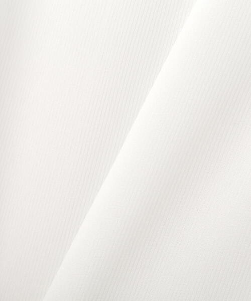 PROPORTION BODY DRESSING（プロポーションボディドレッシング）の「クルーネックシアーカットソー / 1214160103（Tシャツ/カットソー・レディース・ブラック/ホワイト・FREE）」の15枚目の写真