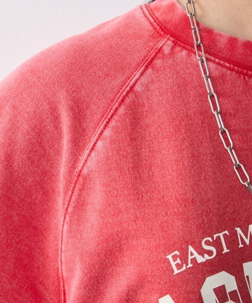 CHIC STYLE(シックスタイル)の「綿100%ミニ裏毛ピグメント染ロゴプリントTシャツ<大きいサイズ有>シックスタイル(Tシャツ/カットソー・レディース・モカ/レッド・5L/4L/3L/LL/L/M)」の17枚目の写真