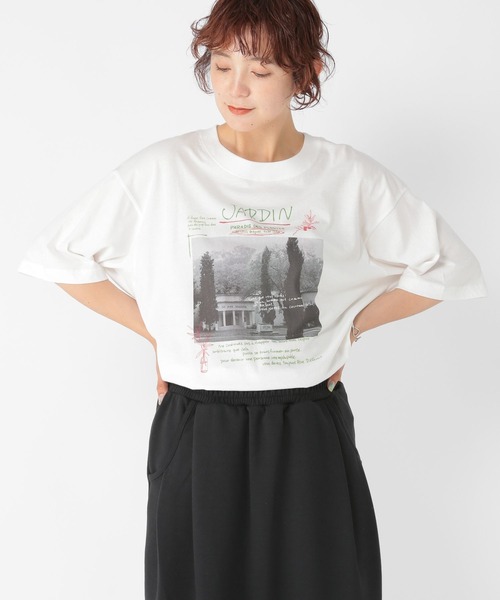 studio CLIP(スタディオクリップ)の「アソートフォトスケッチTシャツ(Tシャツ/カットソー・レディース・その他2/その他1/その他3/その他4・FREE)」の15枚目の写真