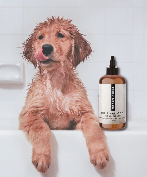 entre square（アントレスクエアー）の「PRIDE+GROOM プライドグルーム プライドドッグ/全ての毛質向け ファイナルコート