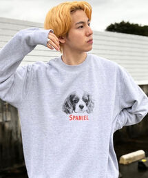 GLOSTER | 《犬猫シリーズ第3弾！》【GLOSTER/グロスター】DOG&CAT 犬猫プリント スウェット(スウェット)