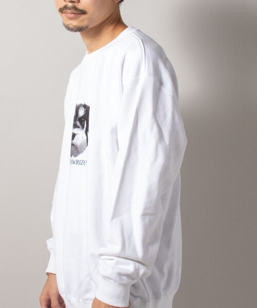 GLOSTER(グロスター)の「《犬猫シリーズ第3弾!》【GLOSTER/グロスター】DOG&CAT 犬猫プリント スウェット(スウェット・メンズ・ホワイト系その他2/ホワイト系その他3/グレー系その他4/グレー系その他5・MEDIUM/LARGE)」の7枚目の写真