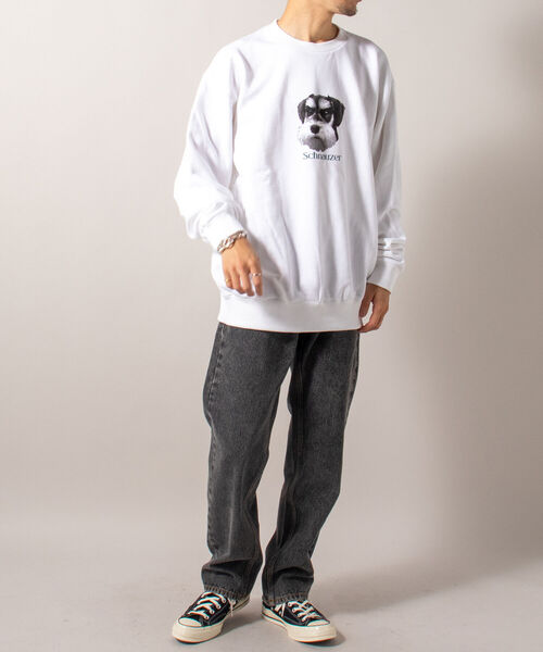 GLOSTER(グロスター)の「《犬猫シリーズ第3弾!》【GLOSTER/グロスター】DOG&CAT 犬猫プリント スウェット(スウェット・メンズ・ホワイト系その他2/ホワイト系その他3/グレー系その他4/グレー系その他5・MEDIUM/LARGE)」の17枚目の写真