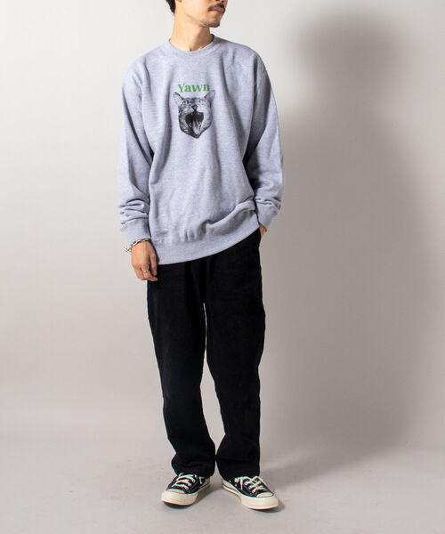 GLOSTER(グロスター)の「《犬猫シリーズ第3弾!》【GLOSTER/グロスター】DOG&CAT 犬猫プリント スウェット(スウェット・メンズ・ホワイト系その他2/ホワイト系その他3/グレー系その他4/グレー系その他5・MEDIUM/LARGE)」の18枚目の写真