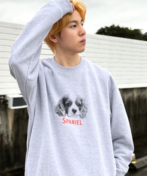 GLOSTER(グロスター)の「《犬猫シリーズ第3弾!》【GLOSTER/グロスター】DOG&CAT 犬猫プリント スウェット(スウェット・メンズ・ホワイト系その他2/ホワイト系その他3/グレー系その他4/グレー系その他5・MEDIUM/LARGE)」の14枚目の写真