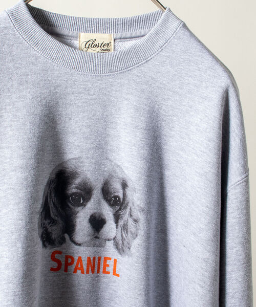 GLOSTER(グロスター)の「《犬猫シリーズ第3弾!》【GLOSTER/グロスター】DOG&CAT 犬猫プリント スウェット(スウェット・メンズ・ホワイト系その他2/ホワイト系その他3/グレー系その他4/グレー系その他5・MEDIUM/LARGE)」の16枚目の写真