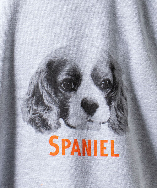 GLOSTER(グロスター)の「《犬猫シリーズ第3弾!》【GLOSTER/グロスター】DOG&CAT 犬猫プリント スウェット(スウェット・メンズ・ホワイト系その他2/ホワイト系その他3/グレー系その他4/グレー系その他5・MEDIUM/LARGE)」の11枚目の写真