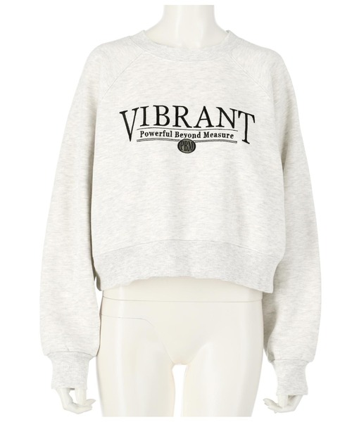 ANAP（アナップ）の「ロゴ刺繍裏起毛プルオーバー（スウェット・レディース・ライトグレー/ブラウン/ブルー・FREE）」の20枚目の写真