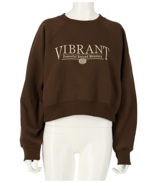 ANAP（アナップ）の「ロゴ刺繍裏起毛プルオーバー（スウェット・レディース・ライトグレー/ブラウン/ブルー・FREE）」の13枚目の写真