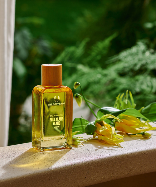 イランイラン　観葉植物　香水の原料　幸せの香り THE BODY SHOP（ザ・ボディショップ）の「イランイラン