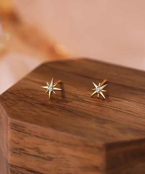 NOLITA LABORATORY(ノリータラボラトリー)の「【 NOLITA / ノリータ 】スター スタッド ピアス(ピアス(両耳用)・レディース・シルバー/ゴールド・FREE)」の10枚目の写真