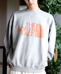 THE NORTH FACE/ザ・ノース・フェイス JACQUARD HALF DOME CREW スウェット/トレーナー NT62438