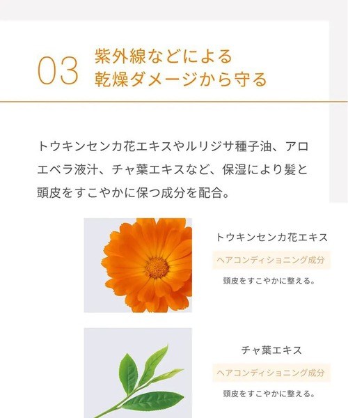 john ｍasters organics（ジョンマスターオーガニック）の「販売終了　best seller hair care mini（ヘアケアキット/ギフトセット・レディース・その他・FREE）」の14枚目の写真