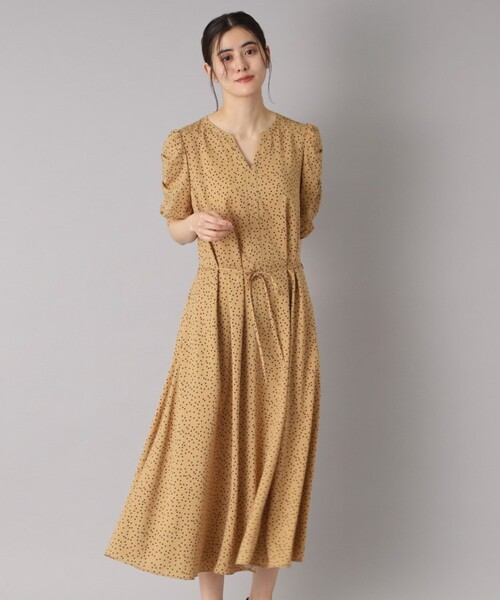 DRESSTERIOR（ドレステリア）の「【ポケット付き/ドット柄】ドットハーフスリーブワンピース（ワンピース・レディース・ベージュ系/ブラック系・34/36/38）」の18枚目の写真