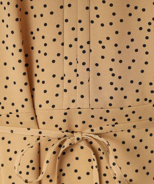 DRESSTERIOR（ドレステリア）の「【ポケット付き/ドット柄】ドットハーフスリーブワンピース（ワンピース・レディース・ベージュ系/ブラック系・34/36/38）」の22枚目の写真