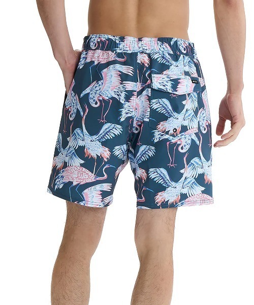 RVCA(ルーカ)の「RVCA メンズ ELASTIC BS ボードショーツ 【2025年夏モデル】/ルーカ水陸両用ウエストゴムドローコード付きサーフトランクス・ボードショーツ・バギーショーツ(水着)(水着・メンズ・ネイビー/スカイブルー/ブラック/ピンク系その他/オレンジ・X-LARGE/LARGE/MEDIUM/SMALL)」の17枚目の写真