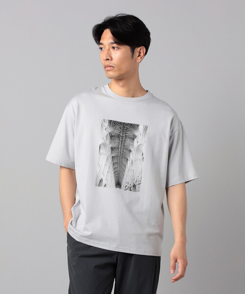 β MEN(ベータメン)の「リブ・ヴォールト プリントTシャツ(Tシャツ/カットソー・メンズ・ブラウン/ライトグレー/サックスブルー・L/M)」の6枚目の写真