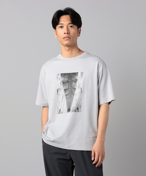 β MEN(ベータメン)の「リブ・ヴォールト プリントTシャツ(Tシャツ/カットソー・メンズ・ブラウン/ライトグレー/サックスブルー・L/M)」の7枚目の写真