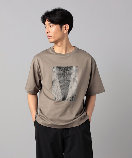 β MEN(ベータメン)の「リブ・ヴォールト プリントTシャツ(Tシャツ/カットソー・メンズ・ブラウン/ライトグレー/サックスブルー・L/M)」の9枚目の写真