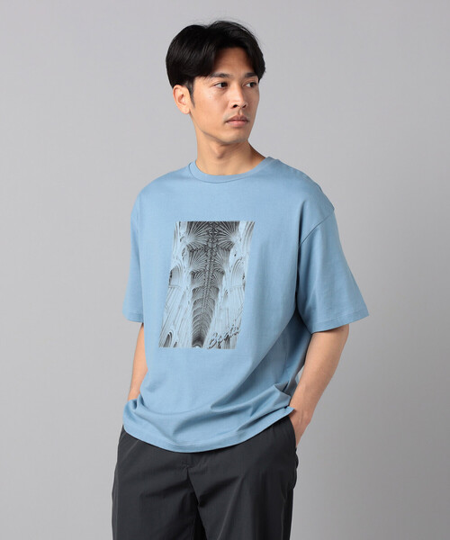 β MEN(ベータメン)の「リブ・ヴォールト プリントTシャツ(Tシャツ/カットソー・メンズ・ブラウン/ライトグレー/サックスブルー・L/M)」の12枚目の写真