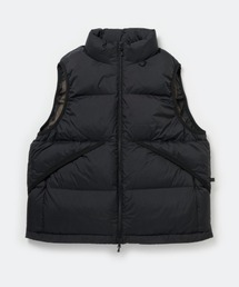 DAIWA PIER39(ダイワピア39)のDAIWA PIER39 TECH ALPINE DOWN VEST BW-24025W(ダウンベスト)