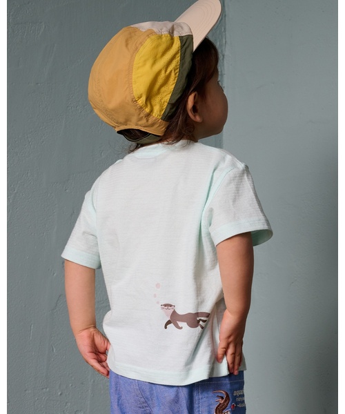 kladskap(クレードスコープ)の「カワウソ半袖Tシャツ(Tシャツ/カットソー・キッズ・サックスブルー・100cm/110cm/120cm/90cm)」の4枚目の写真