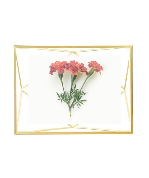 Umbra（アンブラ）の「Umbra/プリズマフォト 4×6 マットブラス（フォトフレーム・レディース・ゴールド系その他・FREE）」の14枚目の写真