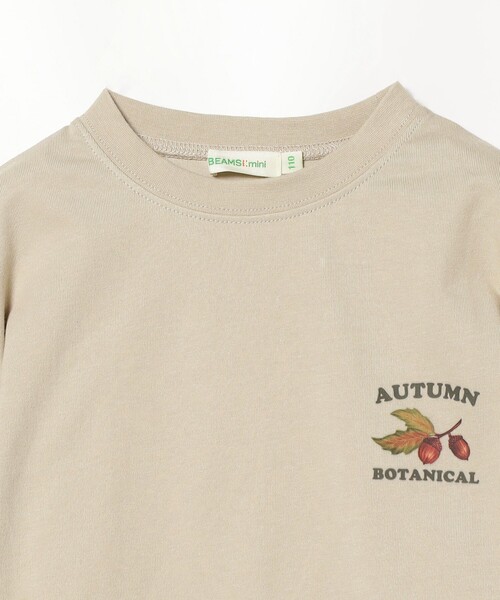 BEAMS mini(ビームスミニ)の「BEAMS mini / アウトドア ボタニカル Tシャツ 23FW(90~150cm)(Tシャツ/カットソー・キッズ・ベージュ/グリーン系その他・90/100/110/120/130/140/150)」の7枚目の写真