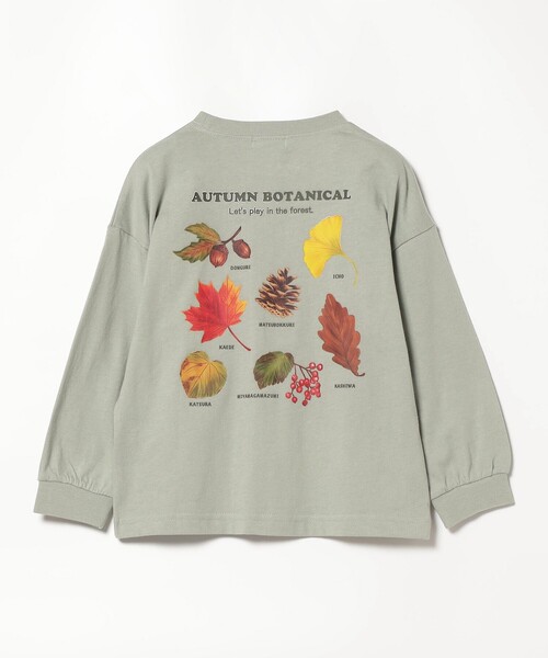 BEAMS mini(ビームスミニ)の「BEAMS mini / アウトドア ボタニカル Tシャツ 23FW(90~150cm)(Tシャツ/カットソー・キッズ・ベージュ/グリーン系その他・90/100/110/120/130/140/150)」の12枚目の写真