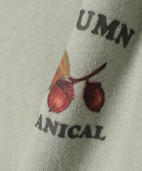 BEAMS mini(ビームスミニ)の「BEAMS mini / アウトドア ボタニカル Tシャツ 23FW(90~150cm)(Tシャツ/カットソー・キッズ・ベージュ/グリーン系その他・90/100/110/120/130/140/150)」の13枚目の写真