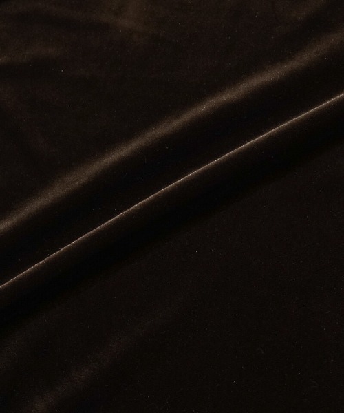 flower(フラワー)の「グロッシーベロアトップ(Tシャツ/カットソー・レディース・アイボリー/ブラウン・FREE)」の4枚目の写真