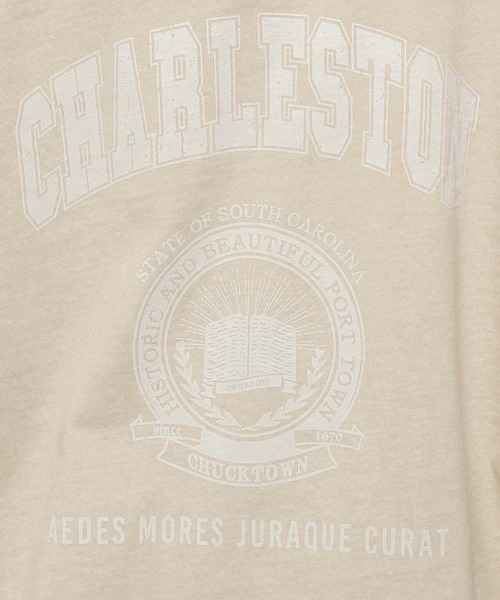 niko and...（ニコアンド）の「アソートピグメントBIGプルオーバー（Tシャツ/カットソー・レディース・パープル/チャコール/ブラウン/ベージュ・MEDIUM/LARGE）」の9枚目の写真