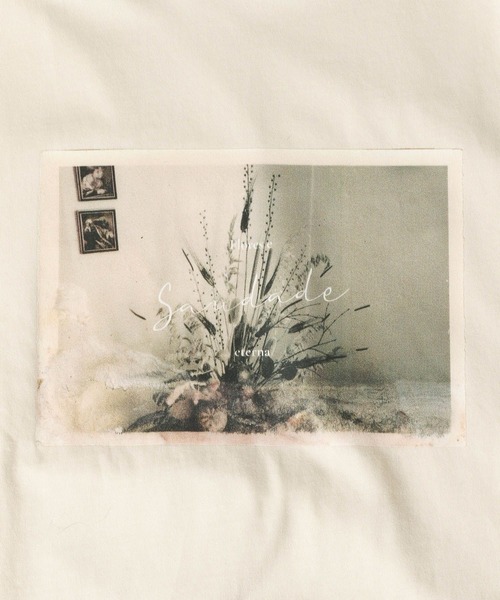 mysty woman(ミスティウーマン)の「フラワーフォトロンT 長袖 152817(Tシャツ/カットソー・レディース・オフホワイト/ブラック・FREE)」の14枚目の写真