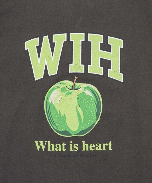 What Is Heart(ワットイズハート)の「apple graphic half sleeve T-shirt - アップルグラフィックTシャツ -(Tシャツ/カットソー・レディース・グレー系その他/ホワイト系その他/ホワイト系その他2/グレー系その他2・MEDIUM/SMALL)」の19枚目の写真