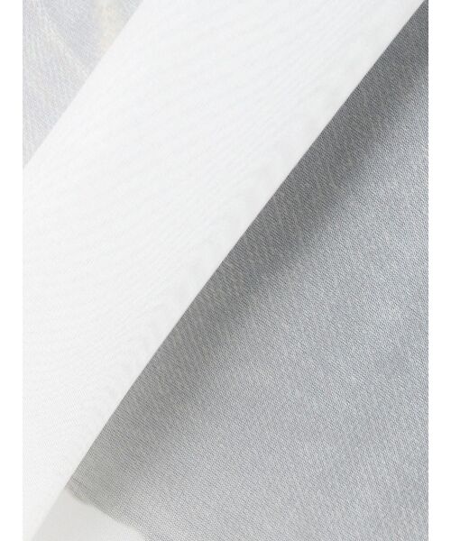 EVRIS（エヴリス）の「シアーオーバーサイズシャツ（シャツ/ブラウス・レディース・ブルー/ブラック/ホワイト・FREE）」の12枚目の写真