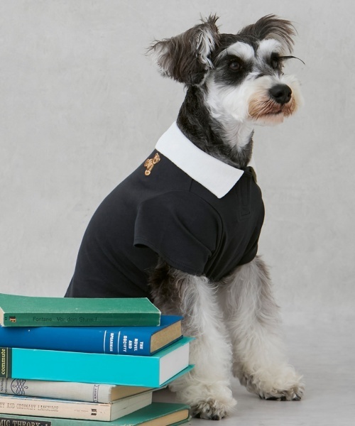 petit main(プティマイン)の【DOG】【接触冷感】ポロ衿配色Tシャツ(ペットウェア)