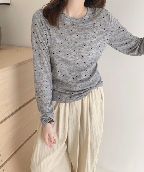 frunco(フランコ)の「ドットシアーロンT(Tシャツ/カットソー・レディース・グレー/アイボリー・FREE)」の1枚目の写真
