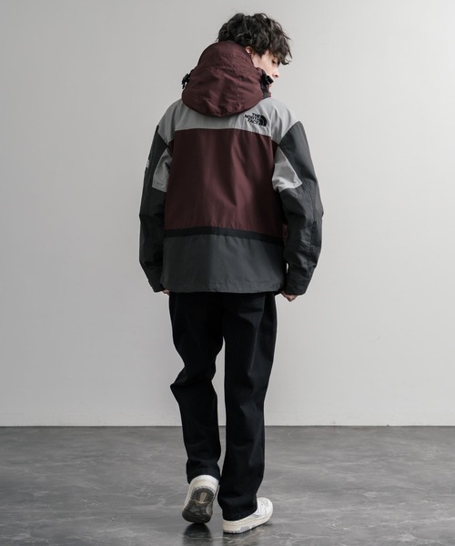 新色追加 日本未展開モデル THE NORTH FACE ザ・ノースフェイス WHITE
